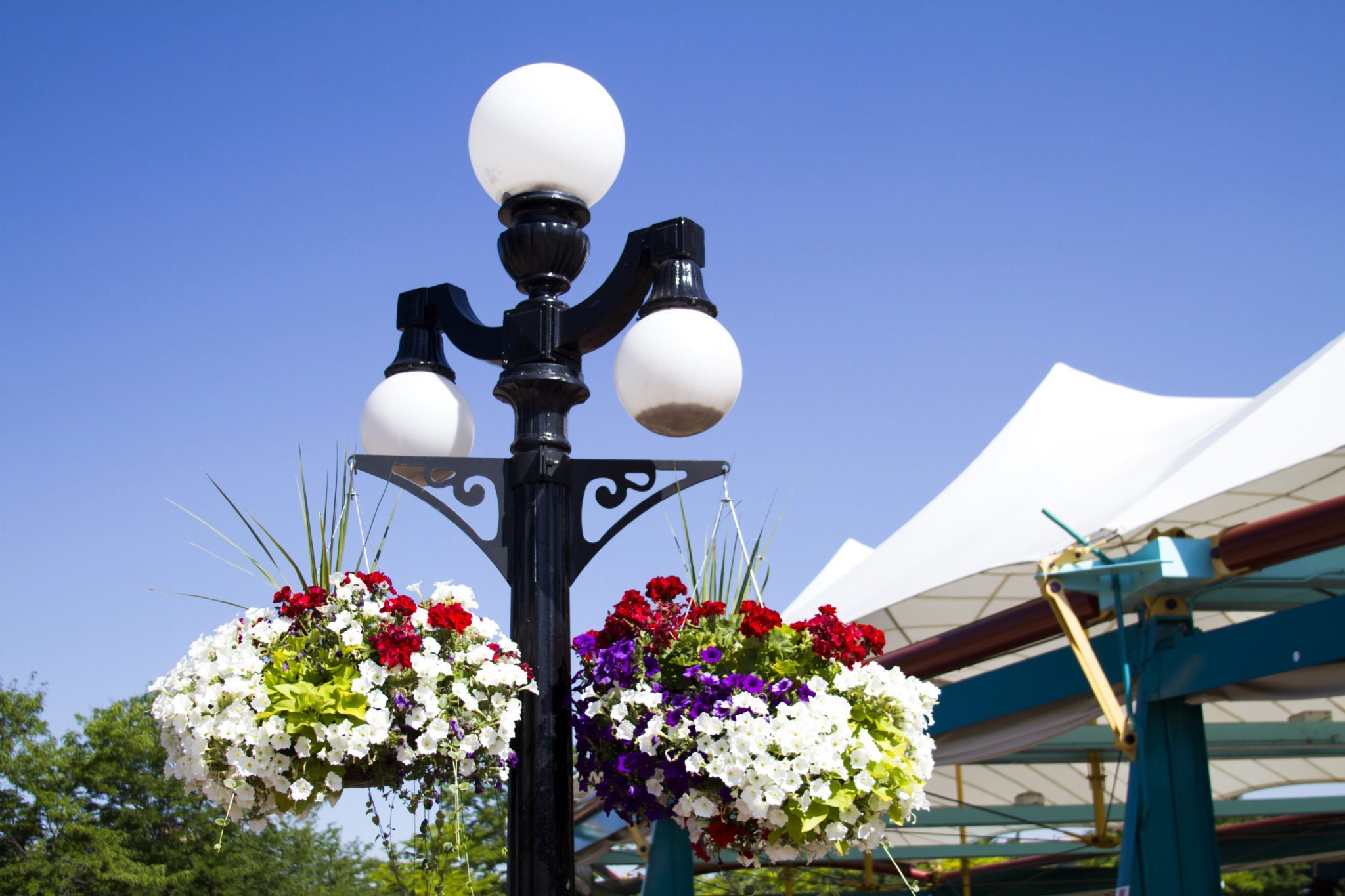 Downtown Flower Baskets Downtown Missoula Partnership